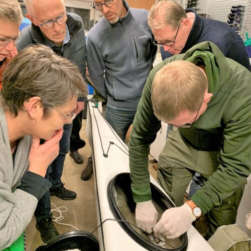 Når medlemmerne får fingrene ned i kajakken